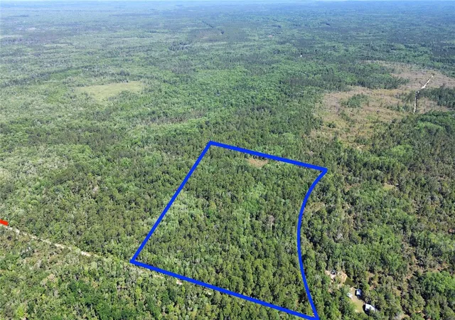 Photo 3 of Land for sale at Tract SW 99 Cr 347, Chiefland, FL 32644 | MLS# GC539830 | Listing updated on 2026-10-28