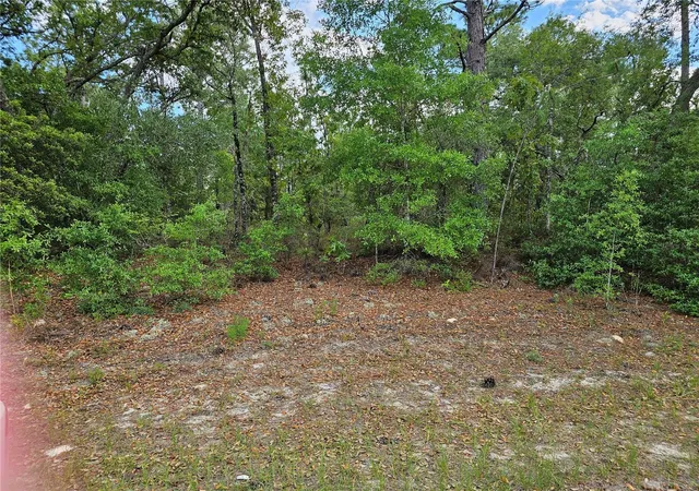 Photo 1 of Land for sale at 1681 W Skyline Dr, Dunnellon, FL 34434 | MLS# OM723617 | Listing updated on 2026-08-14