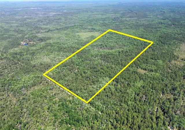 Photo 3 of Land for sale at Tract SW 102 Cr 347, Chiefland, FL 32644 | MLS# GC539834 | Listing updated on 2026-10-28