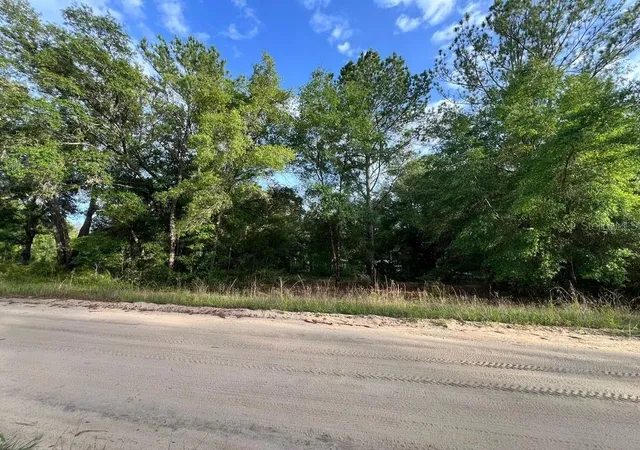 Photo 3 of Land for sale at Decker St Lot 12 13, Interlachen, FL 32148 | MLS# O6402641 | Listing updated on 2026-05-18