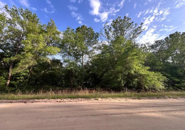 Photo 3 of Land for sale at Decker St Lot 12 13, Interlachen, FL 32148 | MLS# O6402641 | Listing updated on 2026-05-18