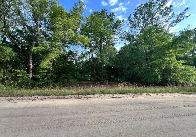 Photo 4 of Land for sale at Decker St Lot 12 13, Interlachen, FL 32148 | MLS# O6402641 | Listing updated on 2026-05-18