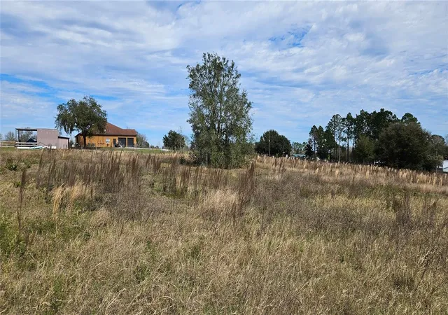 2nd image of 24207 Turkey Lake Rd, Howey In The Hills, FL 34737 | MLS# O6402645