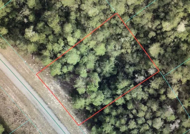 Photo 4 of Land for sale at 0 Sw 34 Court, Ocala, FL 34473 | MLS# OM723645 | Listing updated on 2026-04-28