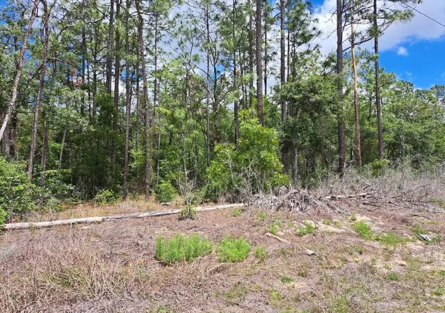 Photo 3 of Land for sale at 0 Sw 64 Street Rd, Ocala, FL 34481 | MLS# OM723652 | Listing updated on 2026-08-28