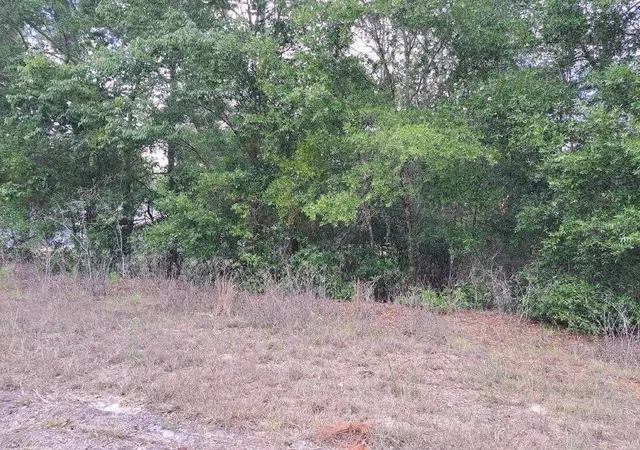 Photo 3 of Land for sale at 0 SW 64 Street Rd, Ocala, FL 34481 | MLS# OM723652 | Listing updated on 2026-08-28