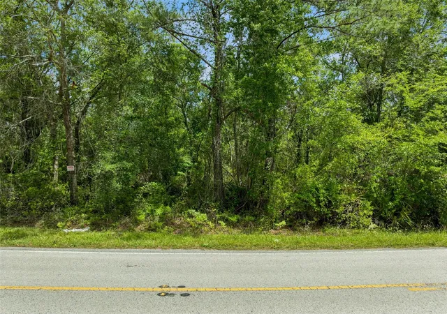 Photo 4 of Land for sale at Culbreath Rd, Brooksville, FL 34602 | MLS# O6402743 | Listing updated on 2026-05-05