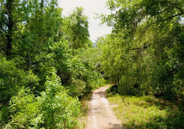 3rd image of 16500 Ne 48Th Ave, Citra, FL 32113 | MLS# OM723663
