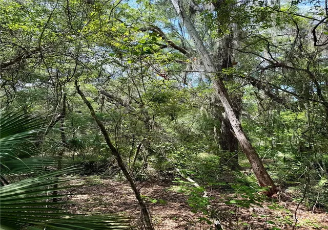 4th image of 16500 Ne 48Th Ave, Citra, FL 32113 | MLS# OM723663