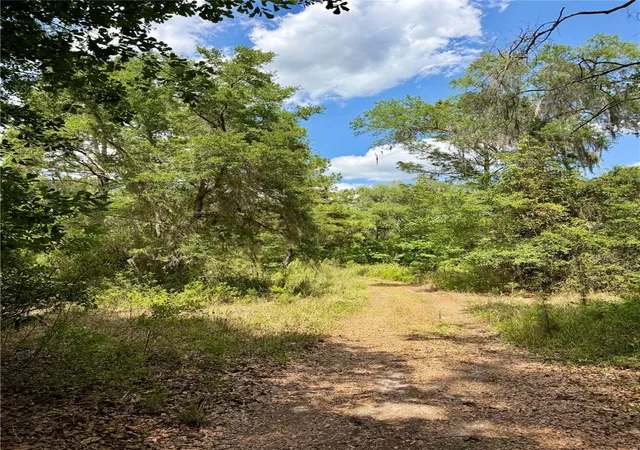 5th image of 16500 Ne 48Th Ave, Citra, FL 32113 | MLS# OM723663