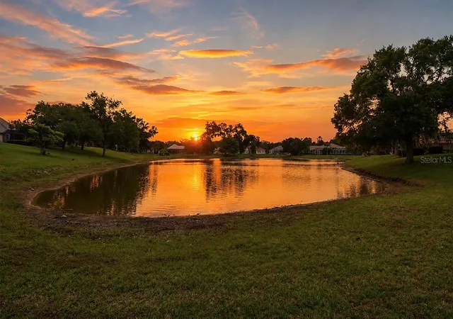 Photo 44 of Single family home for sale at 1239 W Beagle Run Loop, Hernando, FL 34442 | MLS# TB8502369 | Listing updated on 2026-08-13