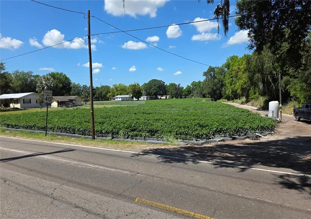 3rd image of Gallagher Rd, Dover, FL 33527 | MLS# TB8502492