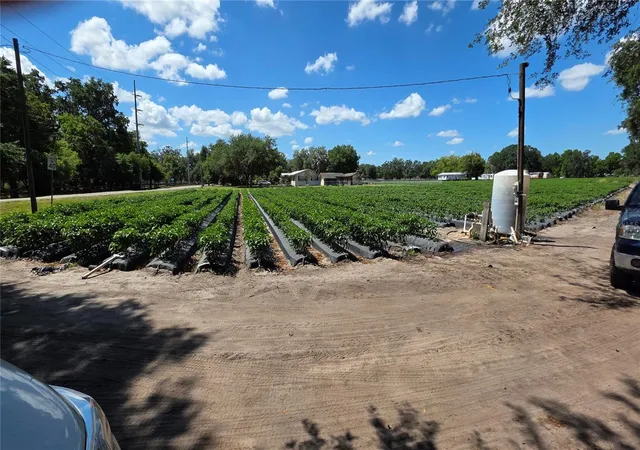 4th image of Gallagher Rd, Dover, FL 33527 | MLS# TB8502492