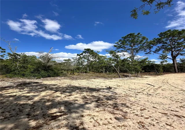 Photo 2 of Land for sale at 3239 W Kirkwood Pl, Dunnellon, FL 34433 | MLS# O6402887 | Listing updated on 2026-04-29