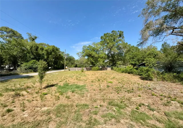 Homes for sale in Morriston, FL | Tbd Nw 12Th Ln, Morriston, FL 32668 | MLS# GC539868