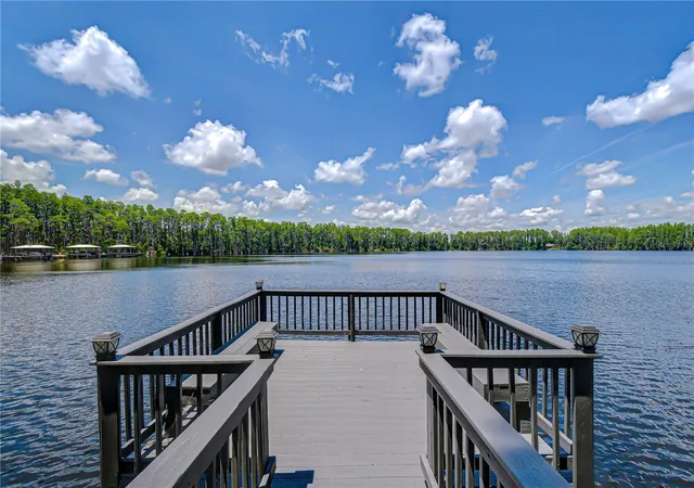 Photo 3 of Single family home for sale at 20915 Lake Vienna Dr, Land O Lakes, FL 34638 | MLS# TB8502586 | Listing updated on 2026-09-13