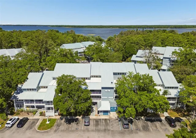 1st image of 2599 Dolly Bay Dr #302, Palm Harbor, FL 34684 | MLS# TB8502696