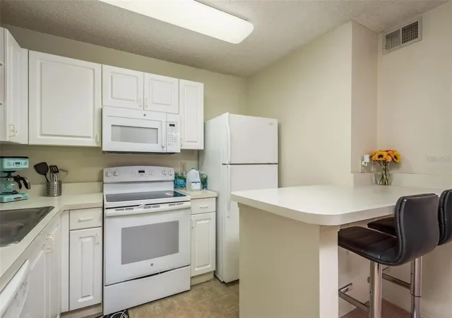 5th image of 4107 Chatham Oak Ct, Tampa, FL 33624