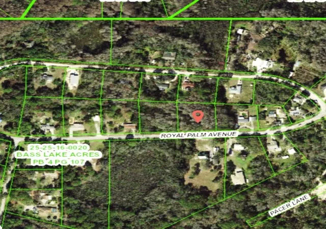 Photo 2 of Land for sale at 9805 Royal Palm Ave, New Port Richey, FL 34654 | MLS# TB8502836 | Listing updated on 2026-04-29