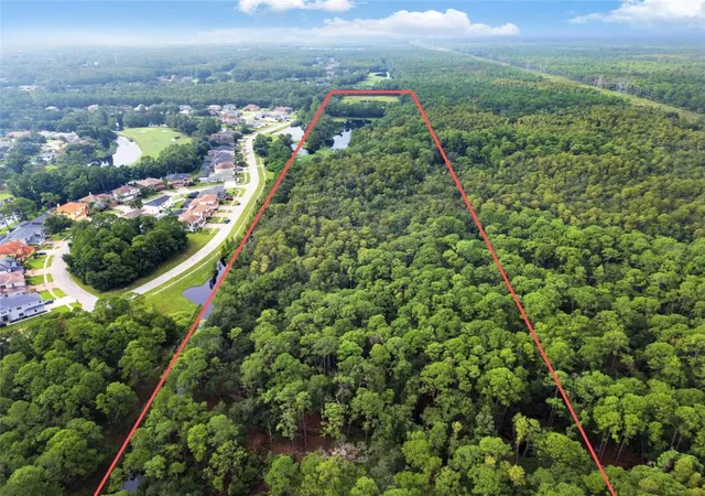 3rd image of Unplatted, Odessa, FL 33556 | MLS# TB8502915
