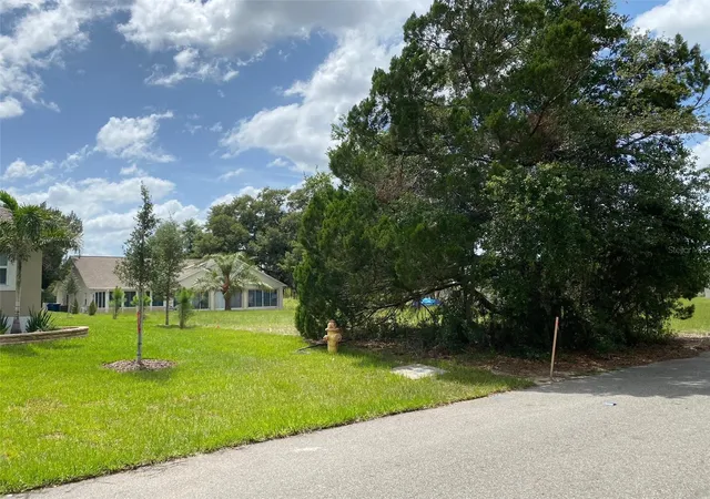 Homes for sale in Dade City, FL | Lot 194 Chestnut Ridge Rd, Dade City, FL 33523 | MLS# W7885308