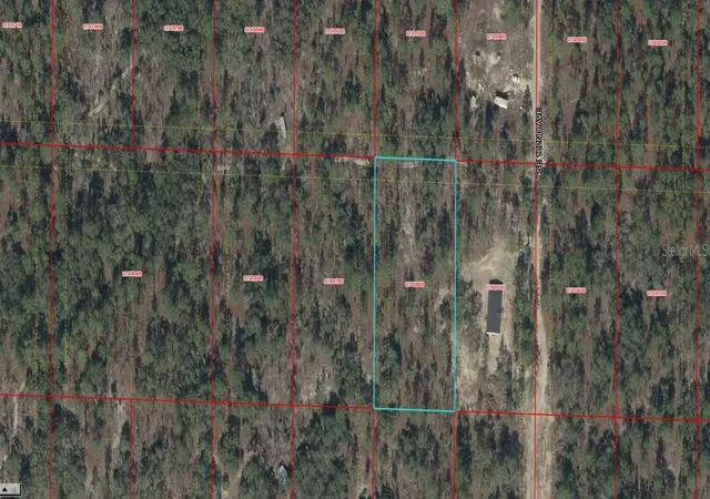 Homes for sale in Morriston, FL | 03743 082 00 Se 122nd Ave, Morriston, FL 32668 | MLS# A4691856