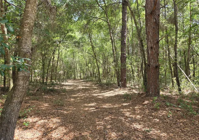 Homes for sale in Dunnellon, FL | 11953 N Glenview Ave, Dunnellon, FL 34433 | MLS# OM723767