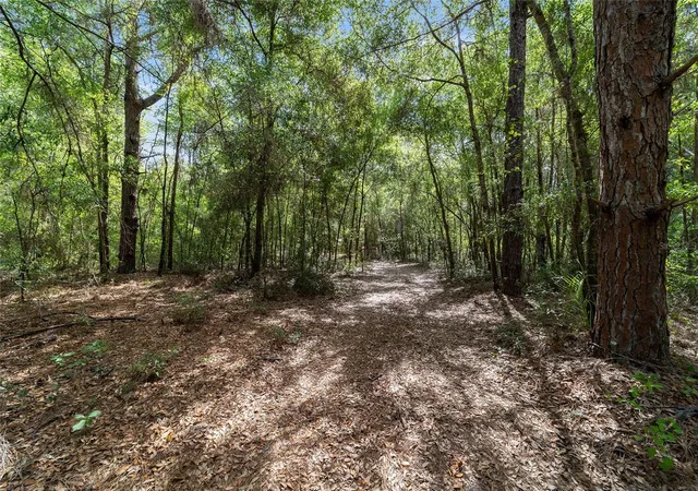 Homes for sale in Dunnellon, FL | 11953 N Glenview Ave, Dunnellon, FL 34433 | MLS# OM723767