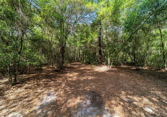 Homes for sale in Dunnellon, FL | 11953 N Glenview Ave, Dunnellon, FL 34433 | MLS# OM723767