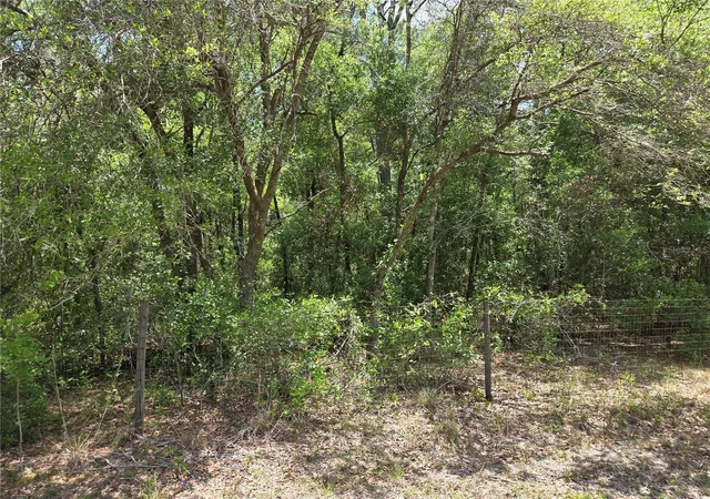 Homes for sale in Dunnellon, FL | 11953 N Glenview Ave, Dunnellon, FL 34433 | MLS# OM723767