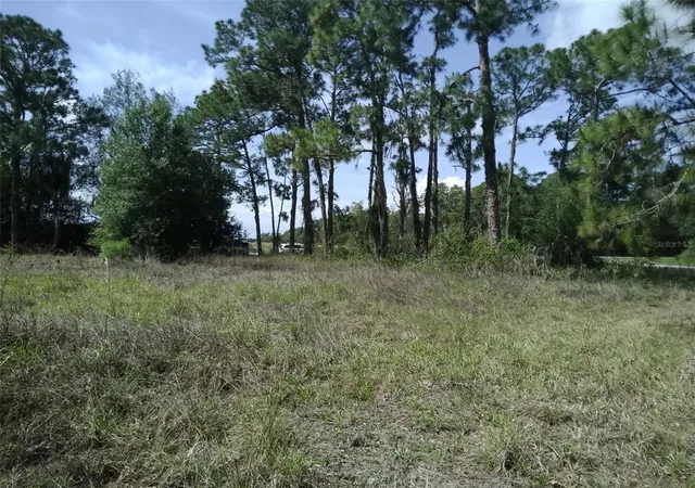 2nd image of 705 Horse Club Ave, Clewiston, FL 33440 | MLS# NS1088086