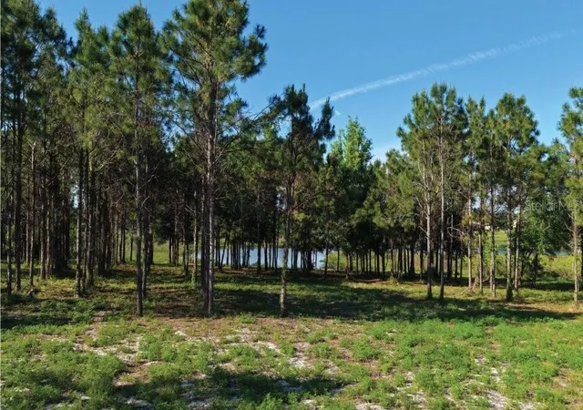 Homes for sale in Gotha, FL | 9717 Morton Jones Rd, Gotha, FL 34734 | MLS# V4948796