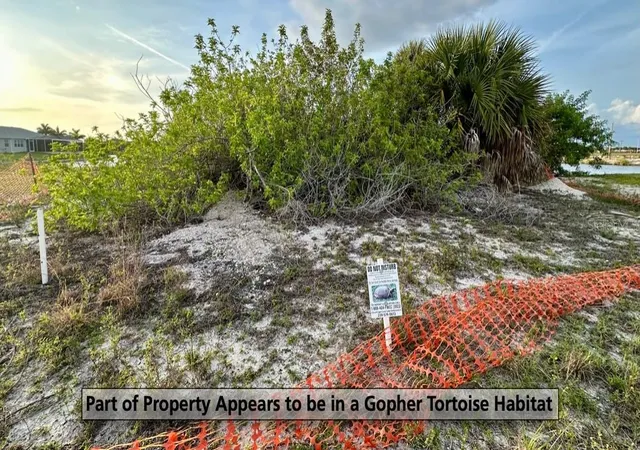 18th image of 3233 Nw 9th St, Cape Coral, FL 33993 | MLS# TB8503461