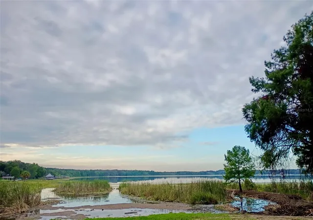 76th image of 13450 Se 105th Ter, Ocklawaha, FL 32179 | MLS# G5111757