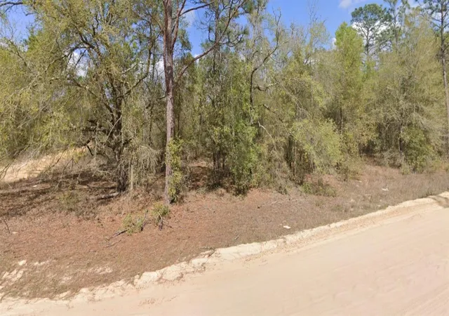 Photo 4 of Land for sale at Lot 1 Martinedale Ave, Interlachen, FL 32148 | MLS# O6403636 | Listing updated on 2026-05-01