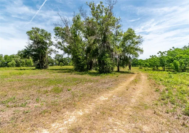 4th image of 0 Rolling Acres Rd, Lady Lake, FL 32159 | MLS# OM723851