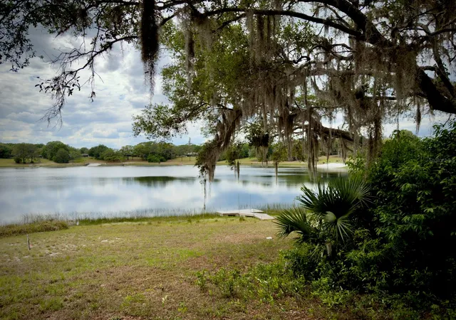 Photo 3 of Land for sale at 00 Se 146th Terrace Rd, Ocklawaha, FL 32179 | MLS# OM723873 | Listing updated on 2026-05-01