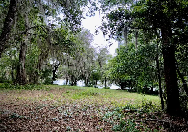 Photo 3 of Land for sale at 00 SE 146th Terrace Rd, Ocklawaha, FL 32179 | MLS# OM723873 | Listing updated on 2026-05-01