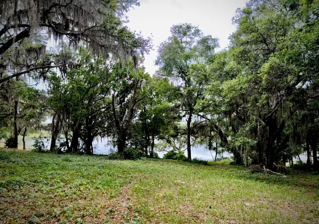 Photo 4 of Land for sale at 00 SE 146th Terrace Rd, Ocklawaha, FL 32179 | MLS# OM723873 | Listing updated on 2026-05-01