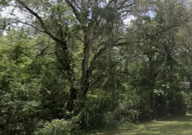 2nd image of Lake Lindsey Rd, Nobleton, FL 34661 | MLS# TB8503670
