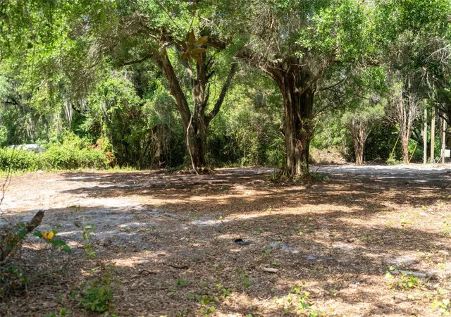 Photo 3 of Land for sale at 3482 County Rd 507, Wildwood, FL 34785 | MLS# OM723881 | Listing updated on 2026-09-23