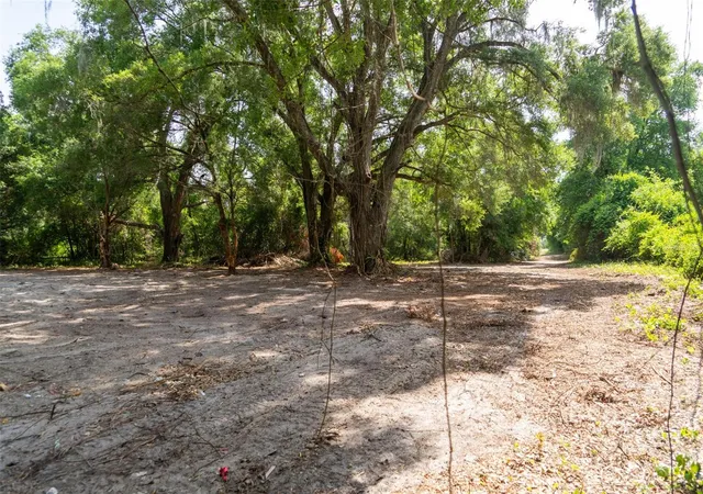 Photo 4 of Land for sale at 3482 County Rd 507, Wildwood, FL 34785 | MLS# OM723881 | Listing updated on 2026-09-23