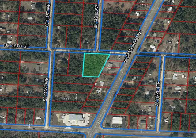Homes for sale in Morriston, FL | 0000 Se 28th St, Morriston, FL 32668 | MLS# OM723917