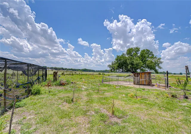 4th image of 4036 Moores Lake Rd, Dover, FL 33527 | MLS# TB8504174