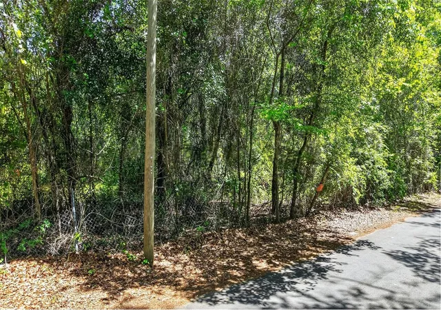 1st image of Tbd Se 2nd Ave, Gainesville, FL 32601 | MLS# G5111831