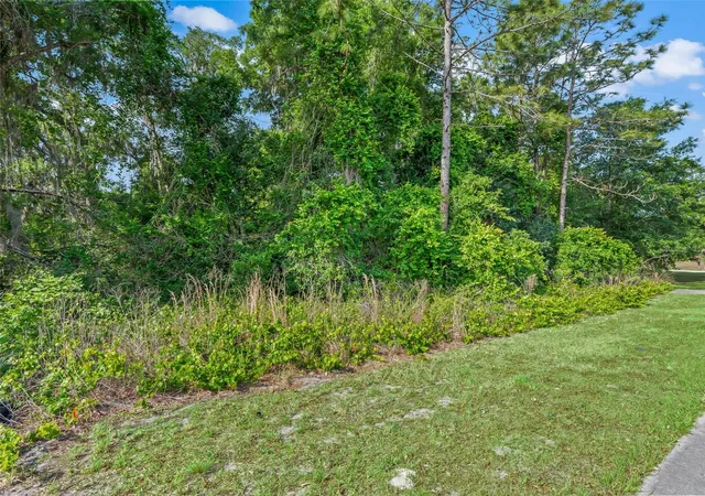 Photo 3 of Land for sale at 2823 W C 48, Bushnell, FL 33513 | MLS# G5111834 | Listing updated on 2026-05-08