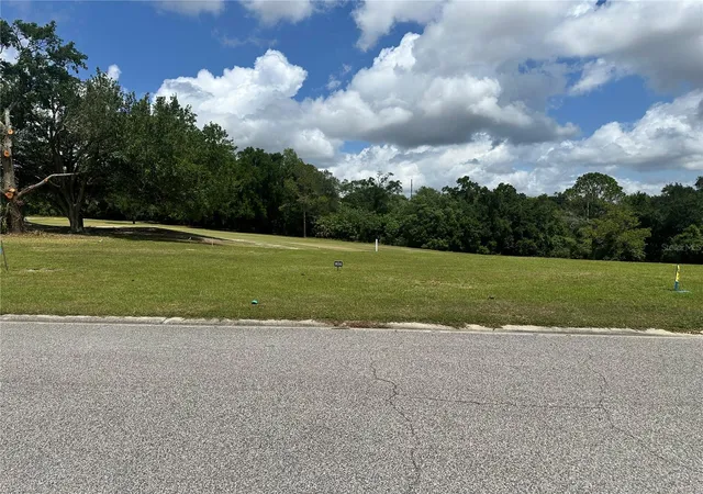 2nd image of 3951 Greenbluff Rd #816, Zellwood, FL 32798 | MLS# O6404233