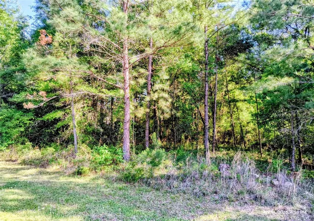 Photo 1 of Sale Pending at Tbd Nw 142nd Street, Williston, FL 32696 | MLS# OM723965 | Listing updated on 2026-08-11