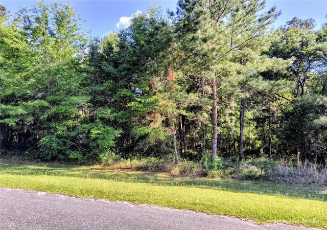 Photo 2 of Sale Pending at Tbd Nw 142nd Street, Williston, FL 32696 | MLS# OM723965 | Listing updated on 2026-08-11