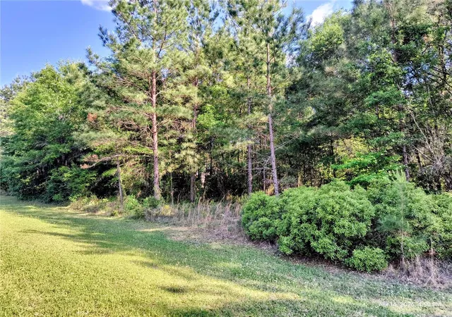 Photo 3 of Sale Pending at Tbd NW 142nd Street, Williston, FL 32696 | MLS# OM723965 | Listing updated on 2026-08-11